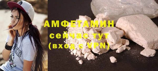 дмт Вяземский