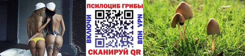 Псилоцибиновые грибы ЛСД  Зея 